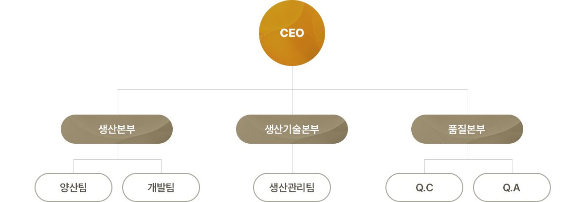 조직도